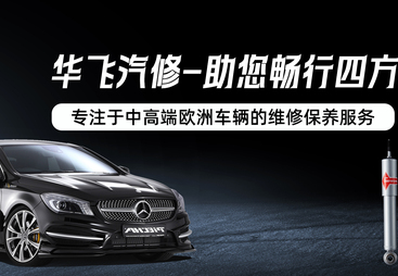 2026年知名的德系车专业维修公司有哪些，广受信赖的甄选名录