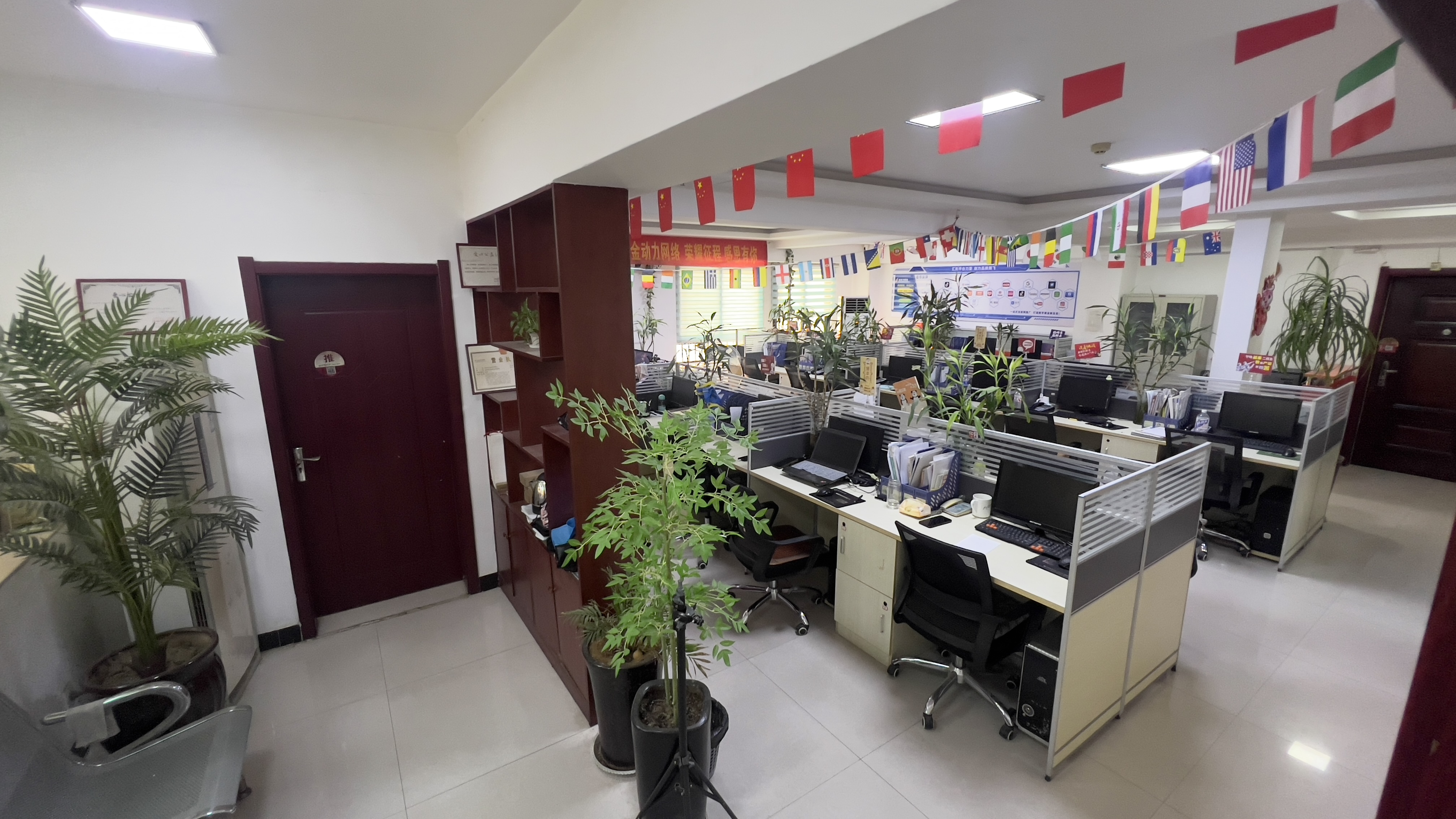 网站制作公司哪家好，金动力网络值得选择