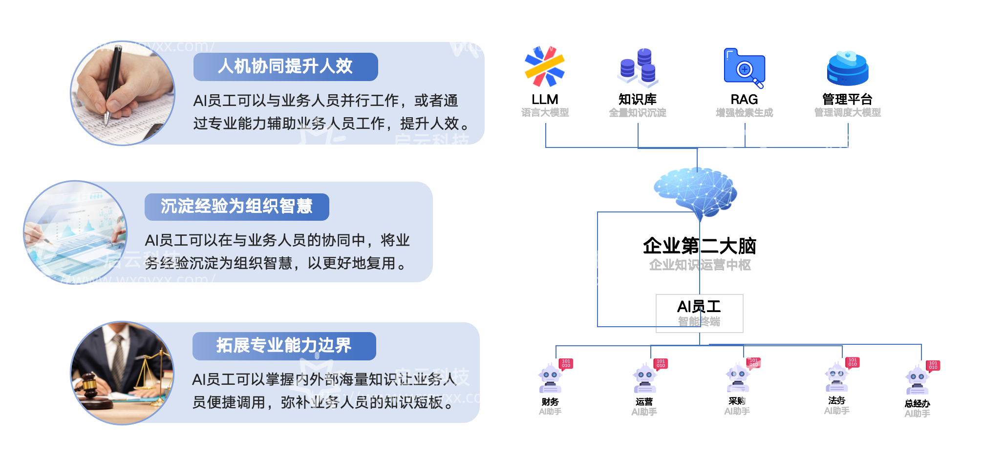 企业管理AI系统怎么选？启云信息科技优势在哪？