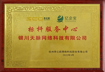 中卫做AI营销的公司哪家交付稳定，推荐这几家