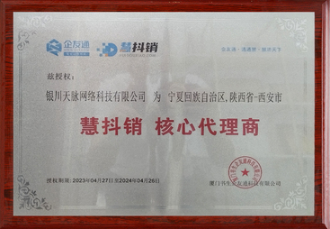 宁夏做企业 AI 流量提升的公司怎么收费？