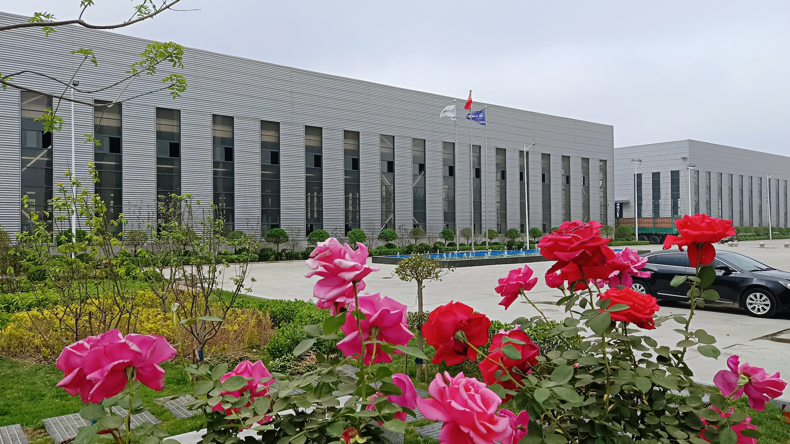 共话性价比高的脚手架源头厂家，盘扣式制造厂哪家值得选