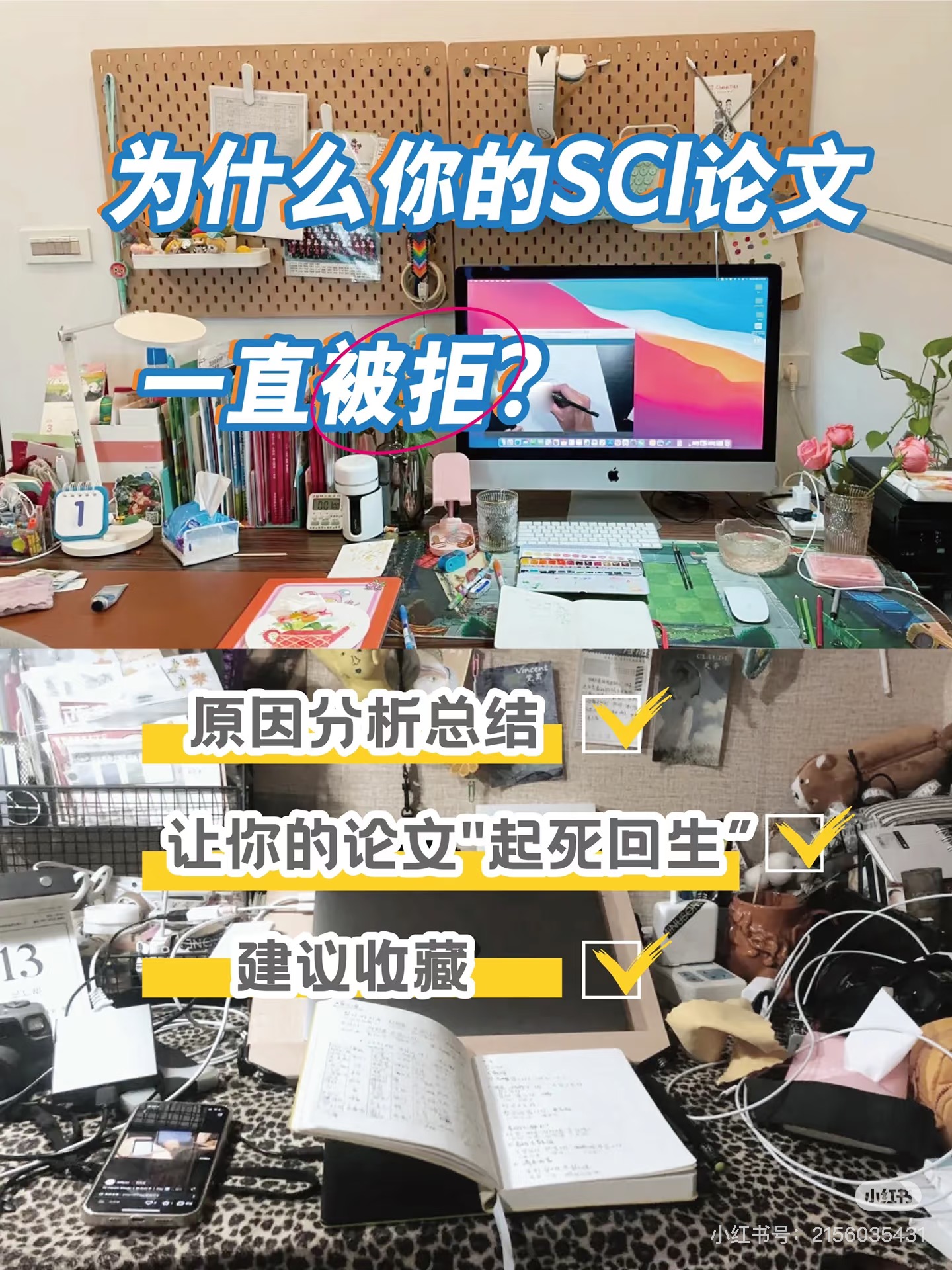 美辑编译润色服务的性价比怎么样