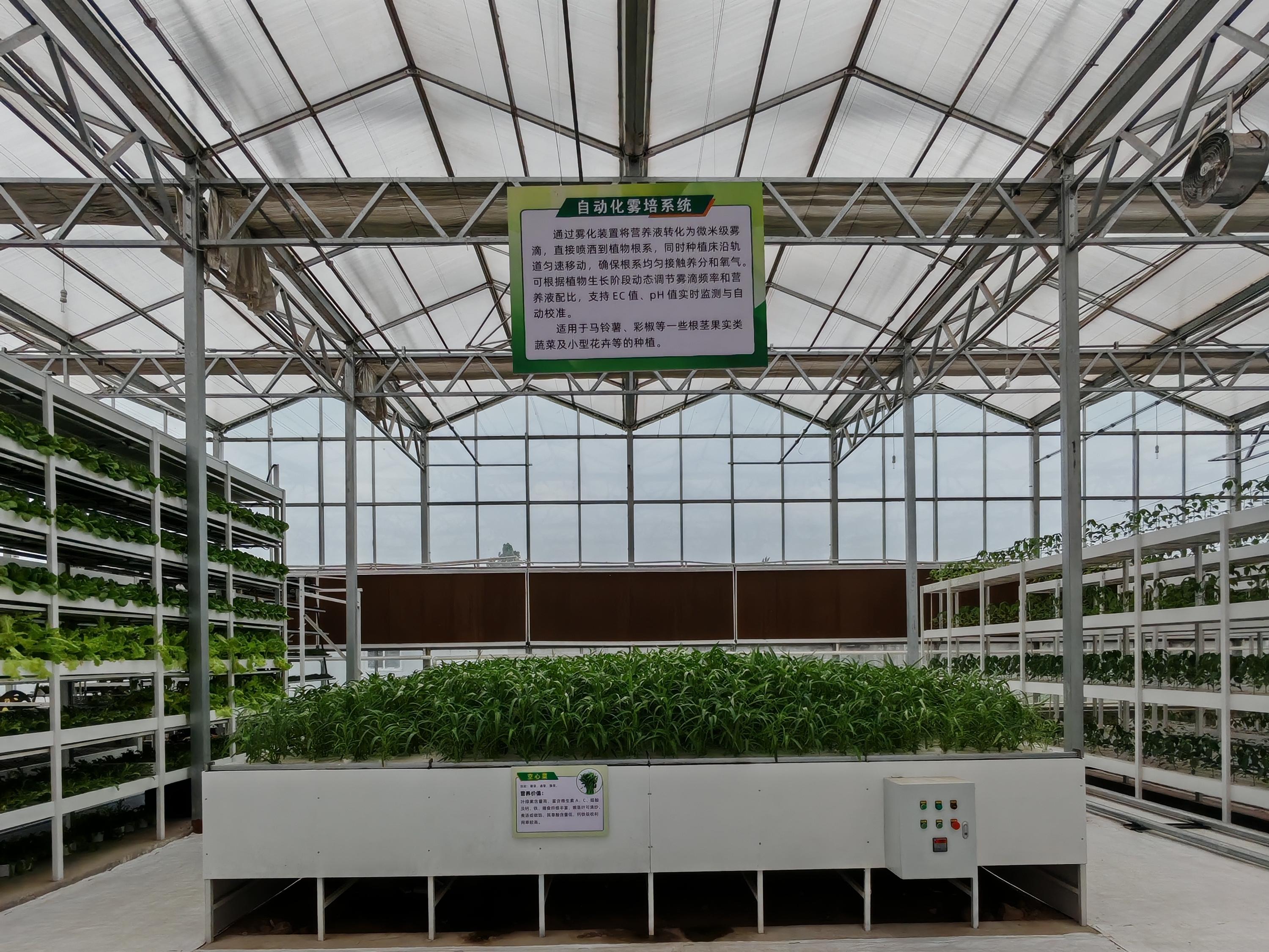 2026年智能植物工厂按需定制服务商挑选全攻略