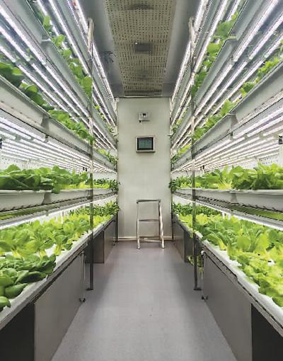 2026年靠谱的集装箱植物工厂CO2调控推荐供应商/精准施肥推荐厂家质量参考评选 2026年靠谱的集装箱植物工厂CO2调控推荐供应商/精准施肥推荐厂家质量参考评选