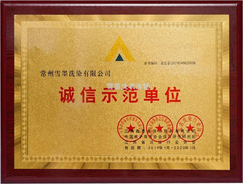 2026年洗染行业口碑好的品牌，雪墨洗染排名靠前