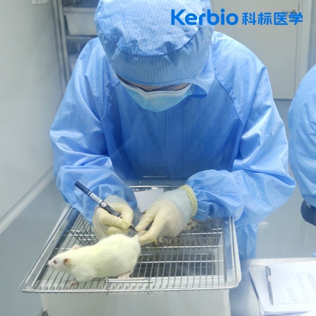 本年度生物相容性试验检测机构排名，推荐靠谱生物相容性检测机构