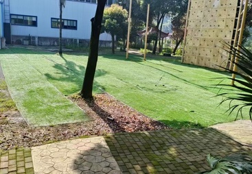有实力的教育叛逆少年的学校分析，多维度评估为您支招