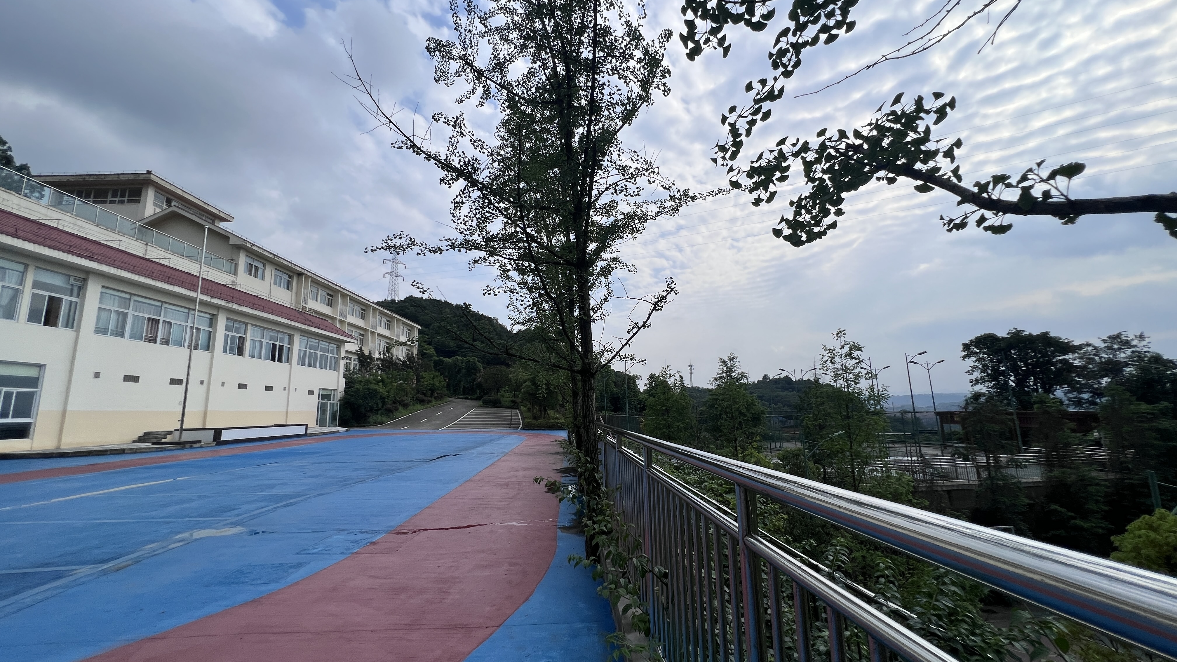 解读叛逆孩子管理学校服务选哪家好，叛逆孩子管理学校服务帮我推荐