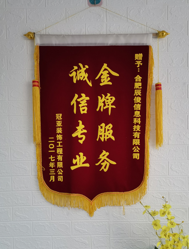 2025年度合肥短视频快手抖音代运营口碑排名推荐，抖音短视频代运营哪家专业