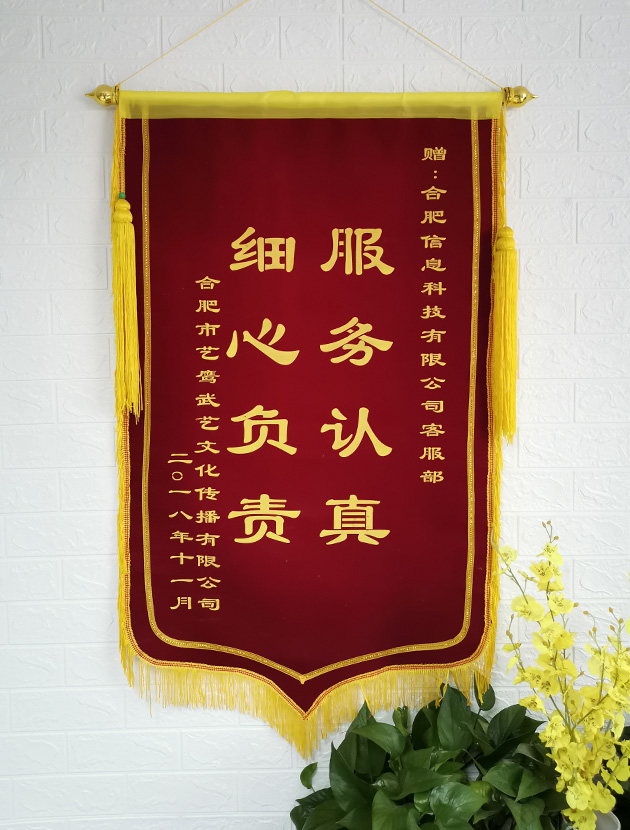 2025年度高性价比AI搜索推广品牌企业排名推荐，探讨合肥辰俊的服务质量