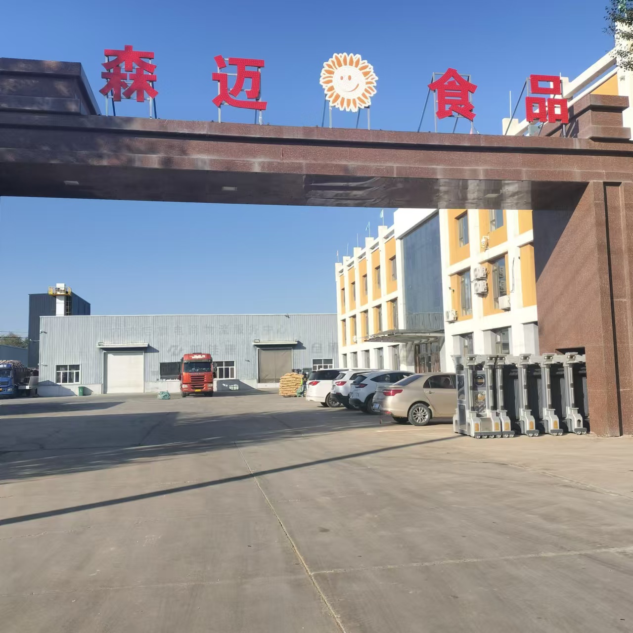 2026年知名的南瓜籽生产厂家有哪些 不用添加防腐剂的南瓜籽品牌实力参考 2026年知名的南瓜籽生产厂家有哪些 不用添加防腐剂的南瓜籽品牌实力参考