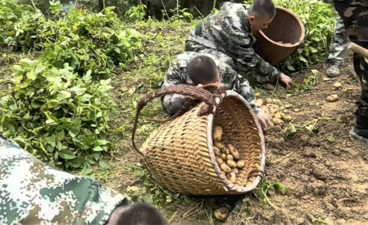 有实力的正规叛逆孩子管教学校聊聊，介绍正规叛逆青少年管教学校服务联系方式