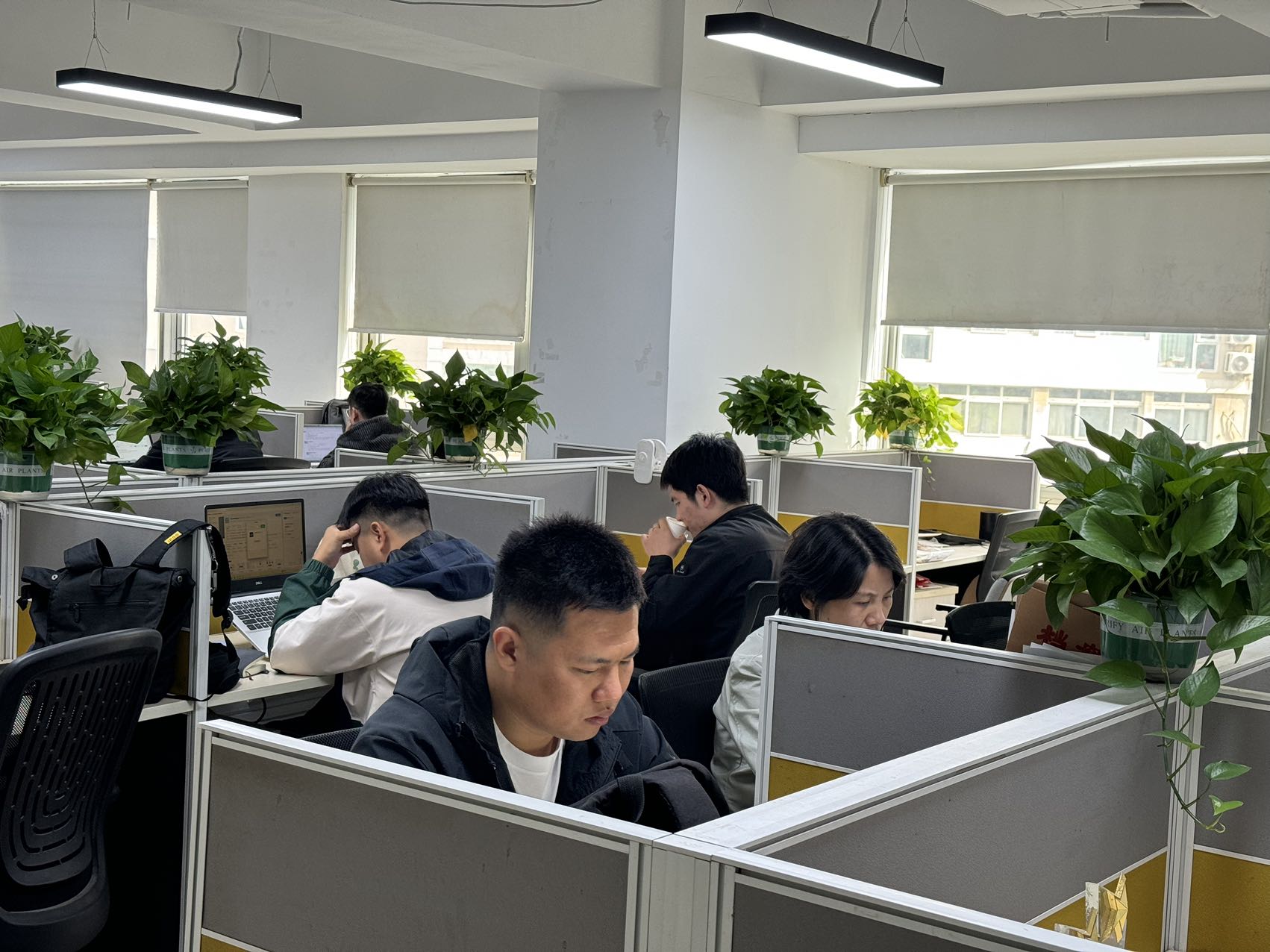 2025年GEO优化服务公司年度排名，GEO优化服务哪家创新能力高