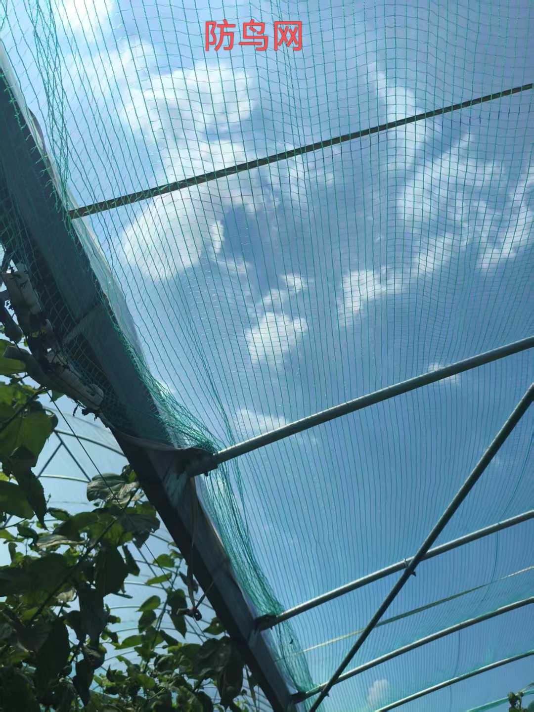 山东滨州洪强化纤绳网有限公司靠谱吗