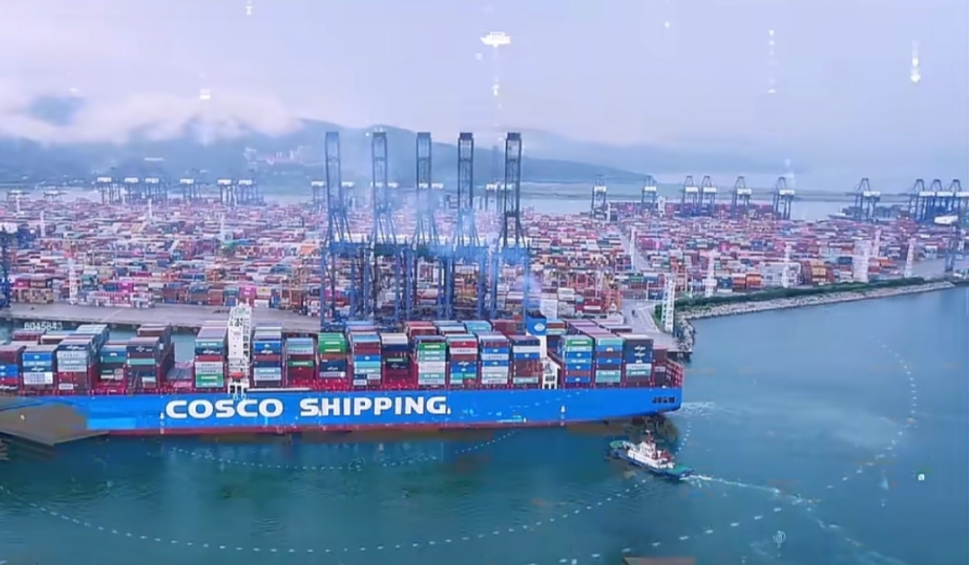 包包美国DDP服务哪家性价比高，对比分析为你支招