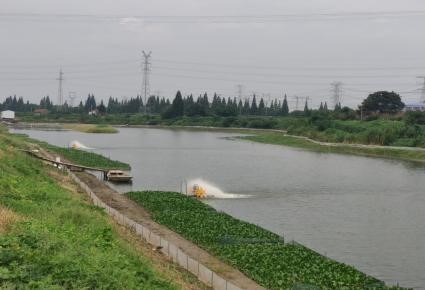 2025正宗阳澄湖大闸蟹优质商家TOP10：阳澄湖大闸蟹哪家好?为您深度揭秘