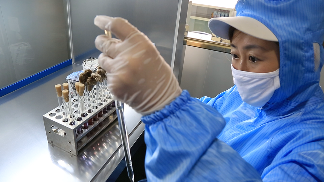 揭秘资质齐全的桶装水企业，优质生产商价格到底多少钱