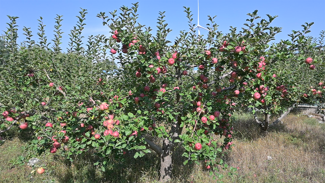 解读弱碱桶装水靠谱企业，盘点当下热门的桶装水品牌排行