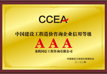 工程建设过程审计服务：行业权威之选与深度剖析