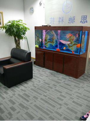 2026年电子服务公司性价比排名，深圳思驰科技性价比好不好？