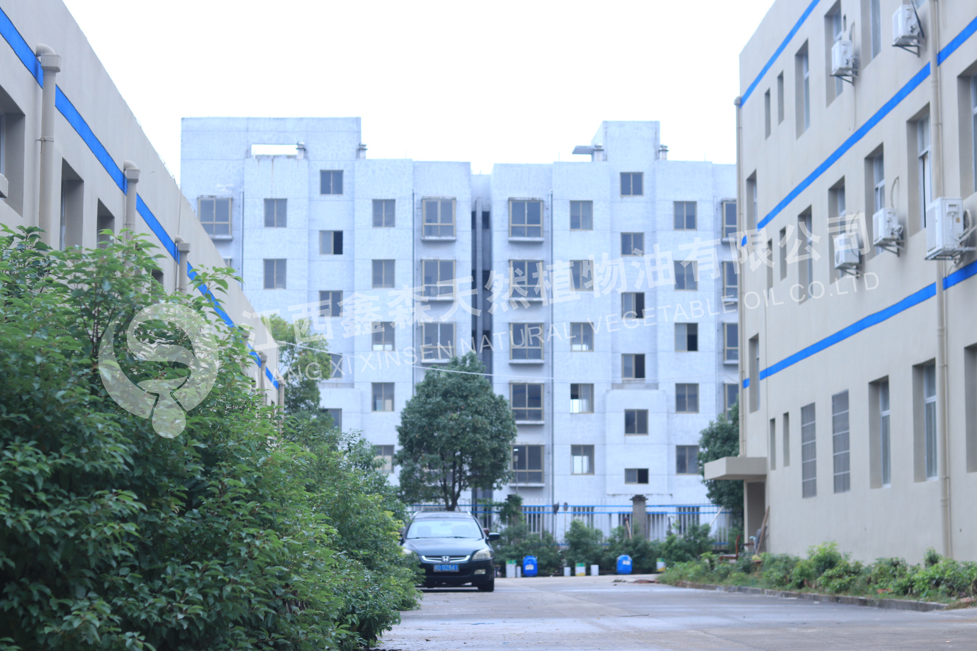 2025年中国薄荷脑制造厂哪家合作案例多：薄荷脑国内知名厂家