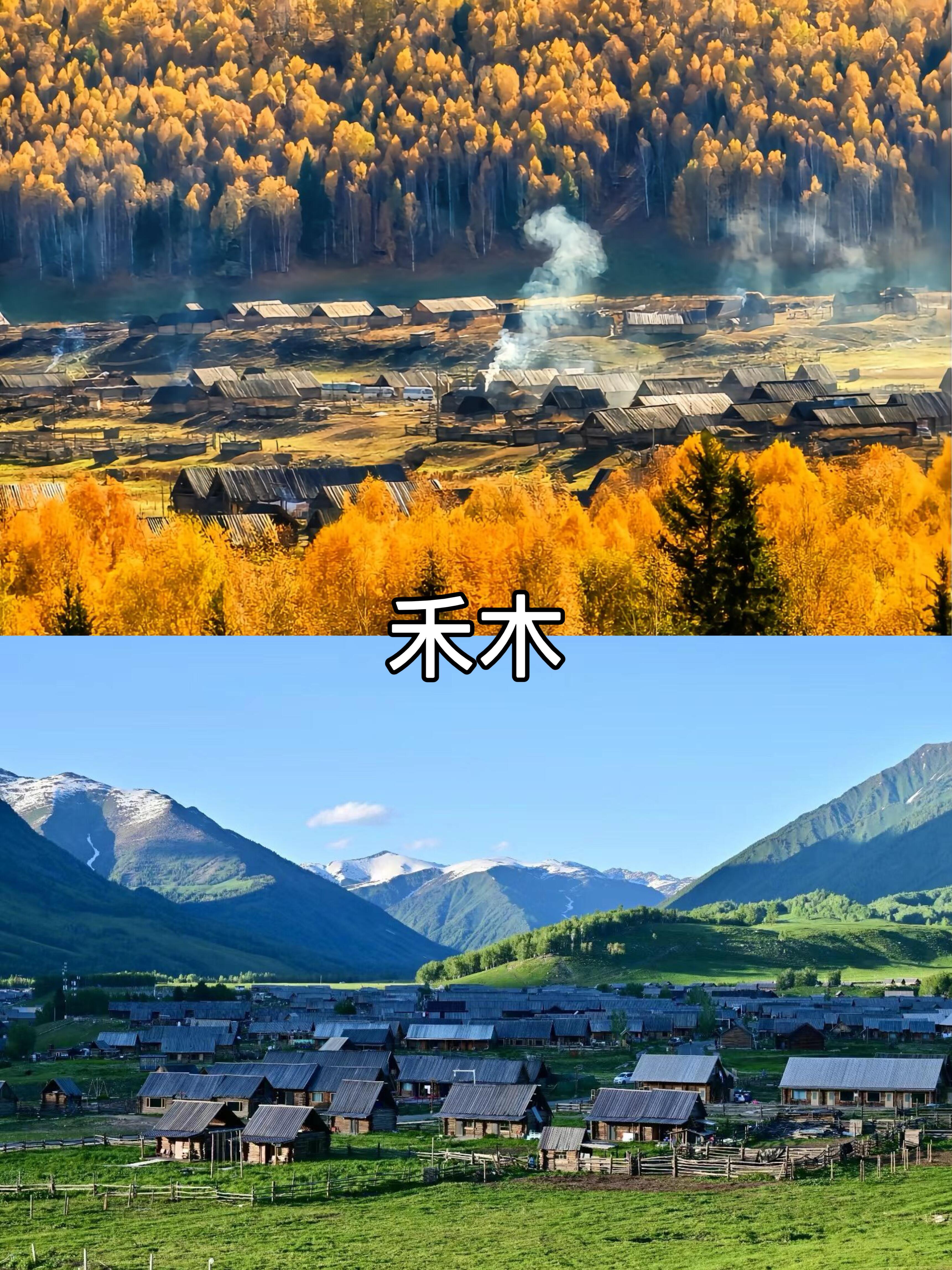 聊聊新疆旅行社哪家好，旭成旅行社口碑靠谱值得选