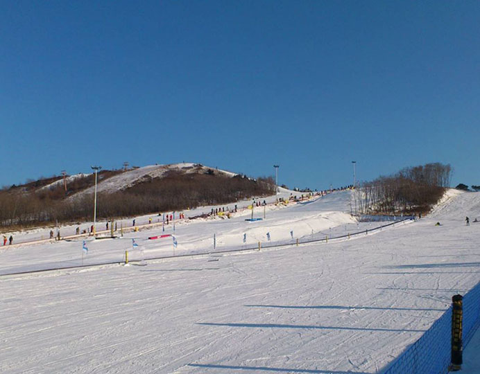 口碑好的造雪机厂家推荐：解锁大射程全自动造雪机的性价比之选