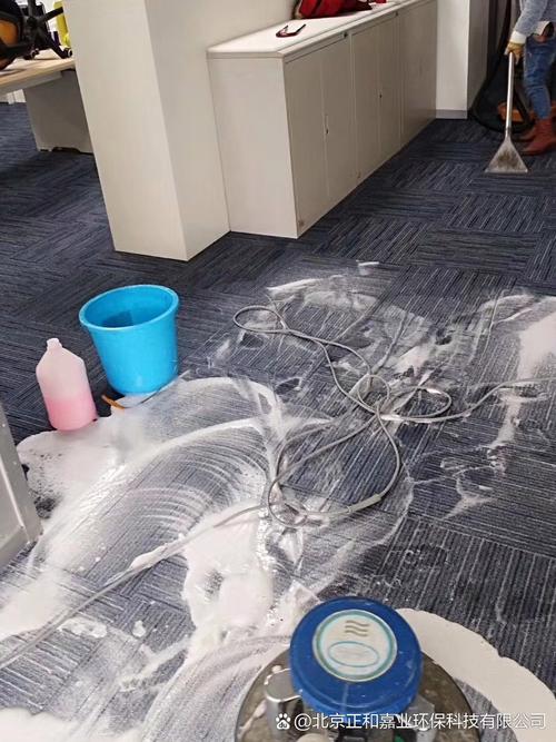 海獭顾家:北京服务不错的开荒保洁机构