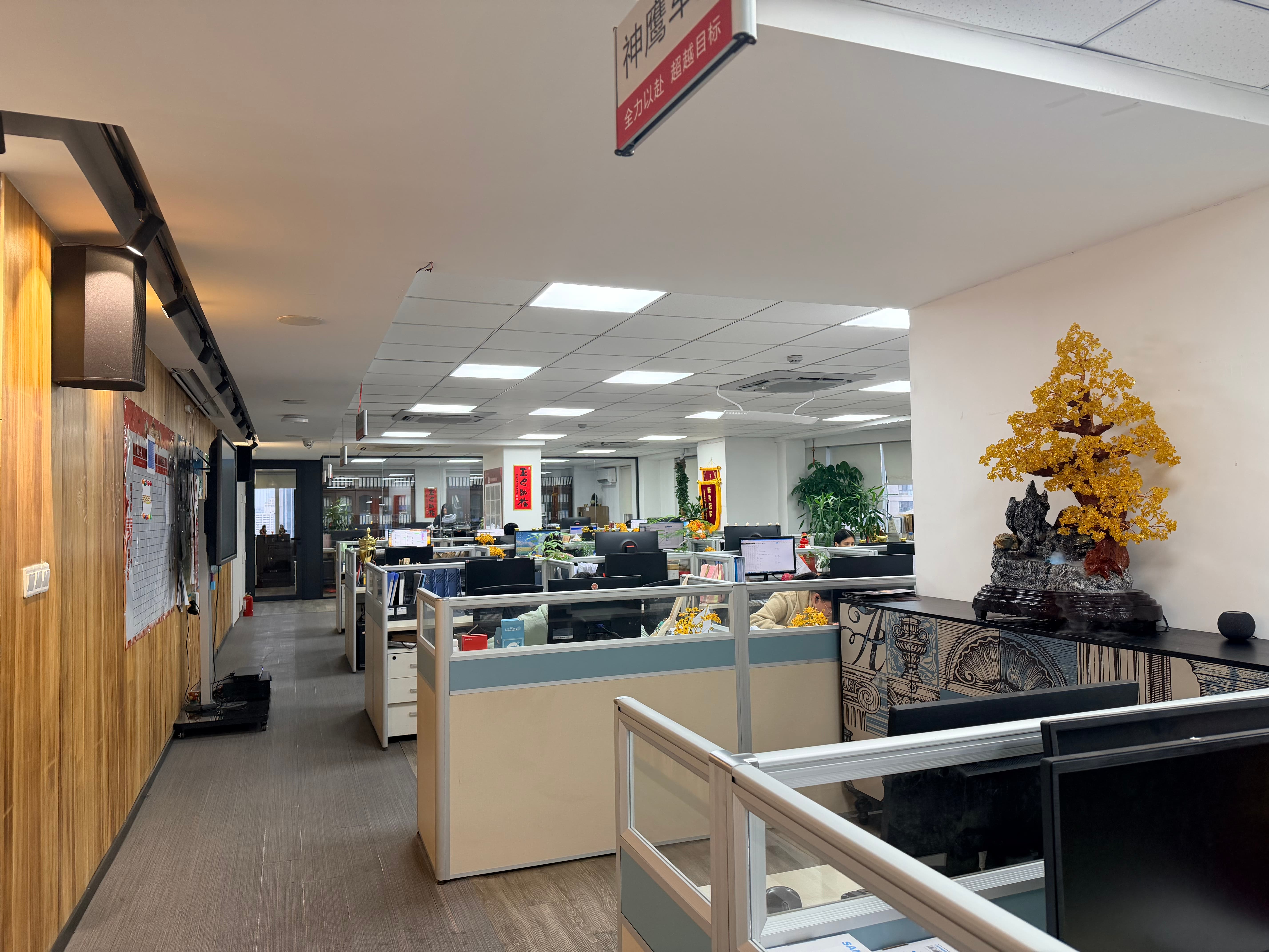 探讨靠谱的药品许可证、营业性演出和出版物经营许可证办理机构选哪家