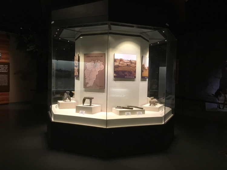 博物馆展柜供应商TOP5权威推荐：甄选靠谱的博物馆展柜厂家