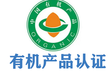 探秘北京智行无径：市场竞争力、性价比与未来潜力剖析