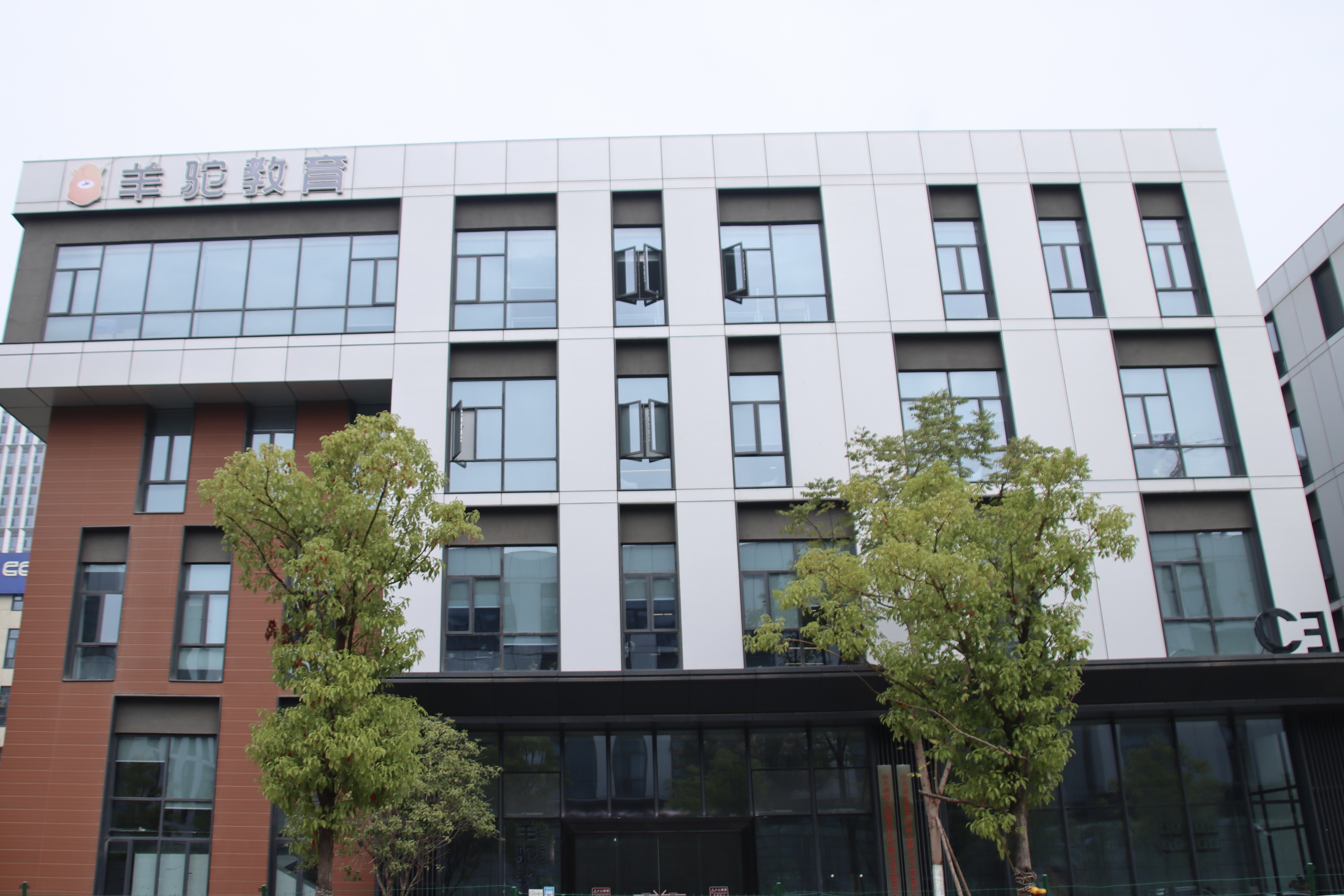 羊驼雅思靠谱吗有啥折扣信息，参考用户评价给点建议