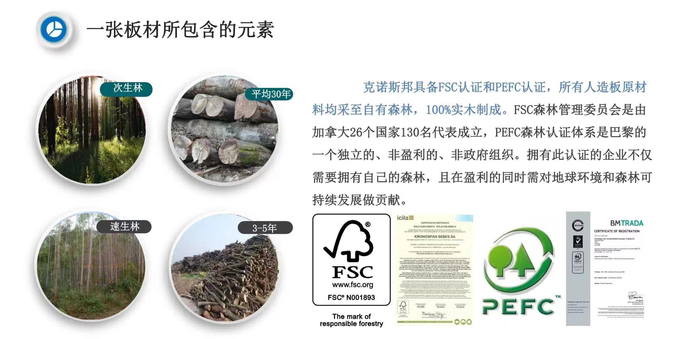 全屋定制环保板材制造厂TOP5权威推荐：甄选企业助力品质家居落地