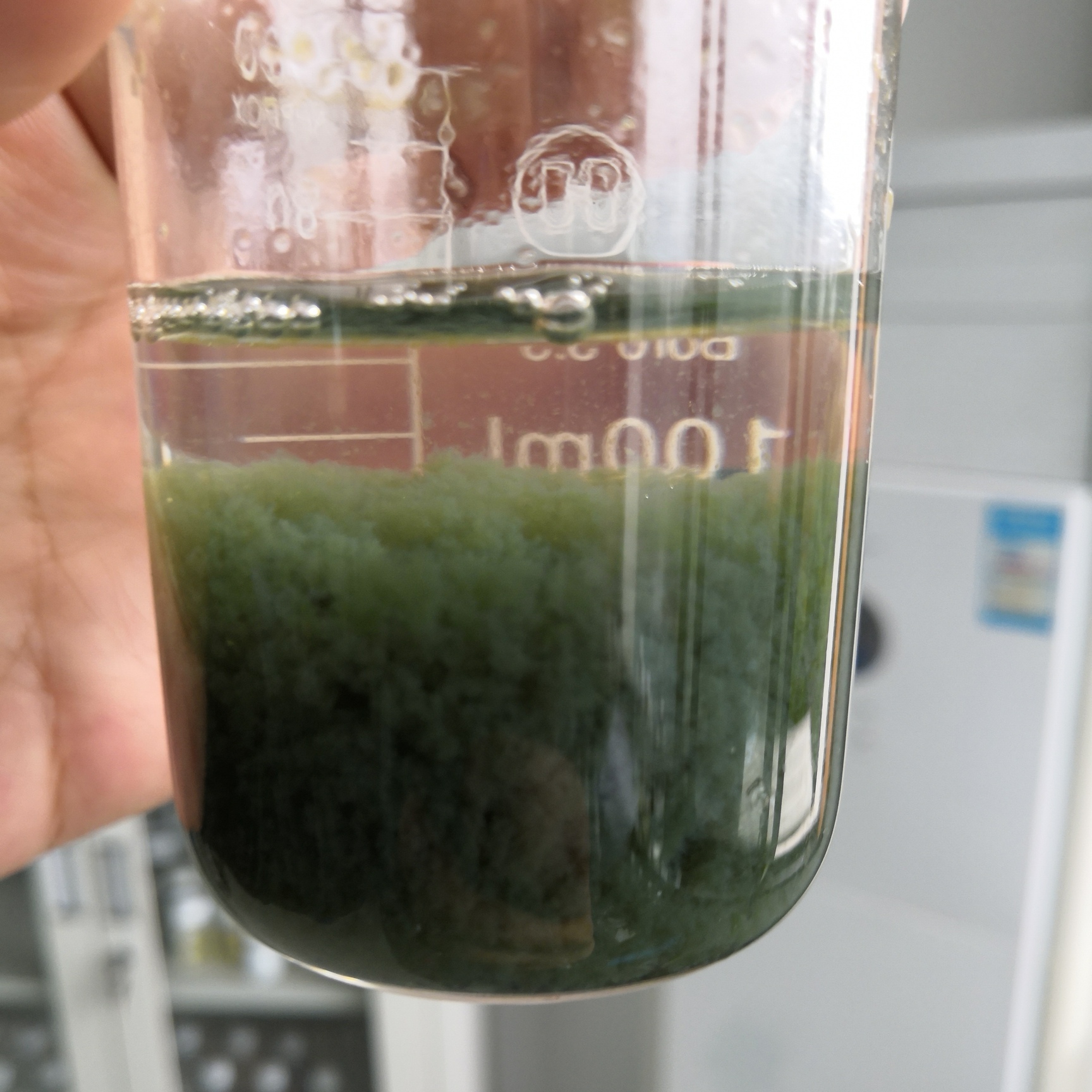 2025年十大无锡高性价比脱色剂排行榜，专业脱色剂品牌推荐