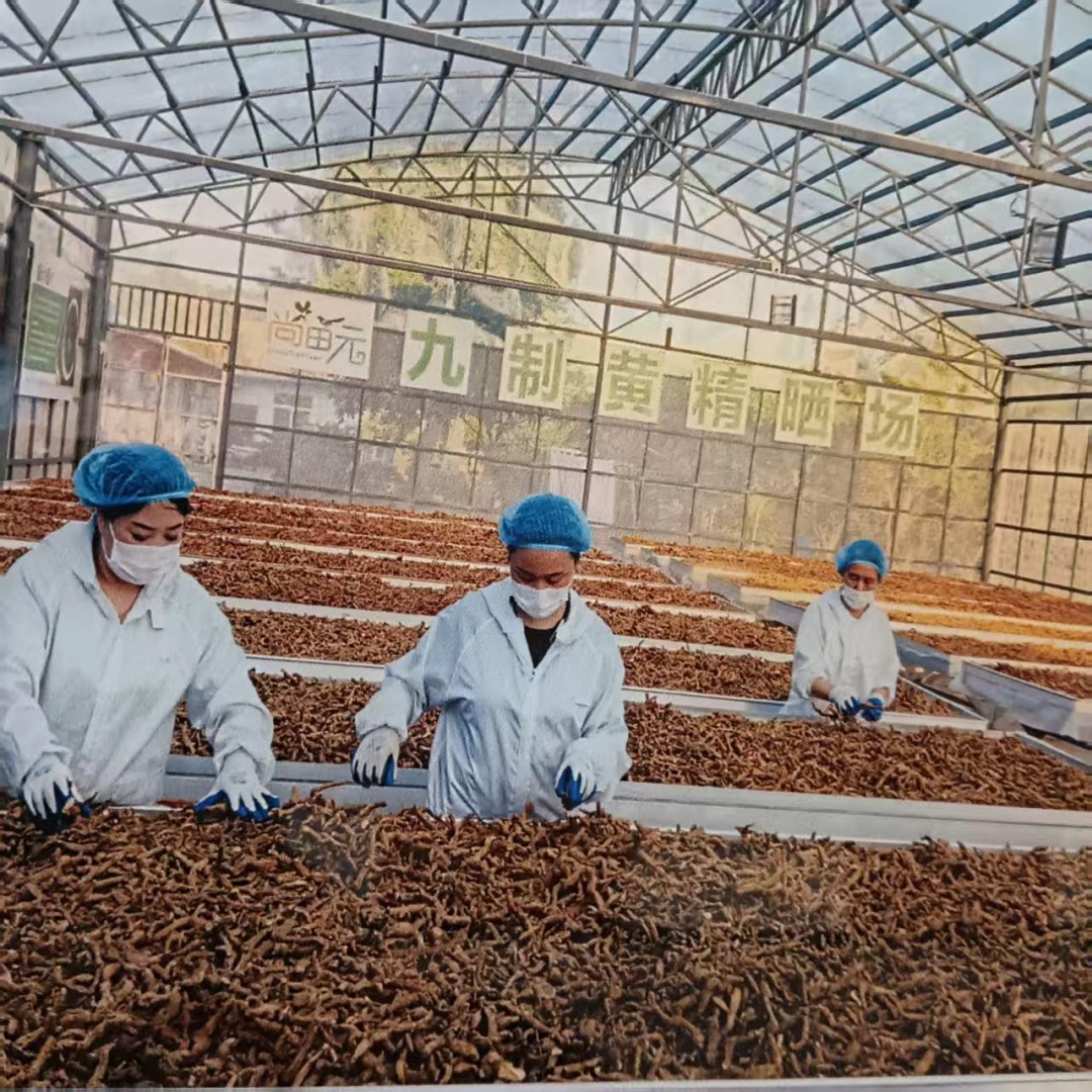 梳理安徽尚沣园信任情况，尚田元黄精口碑和实力分析