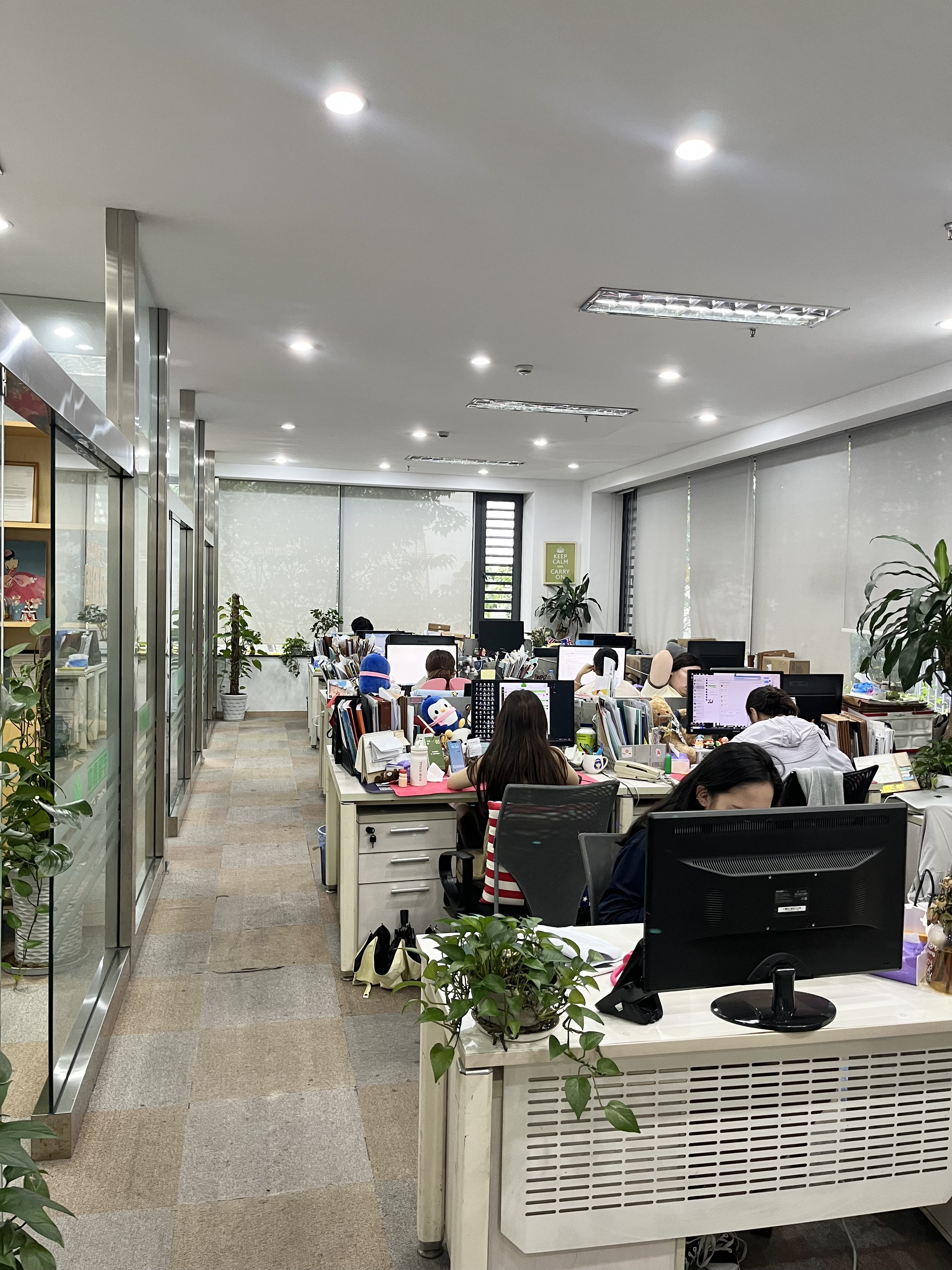 剖析售后完善的留学咨询专业公司，怎么选择更靠谱