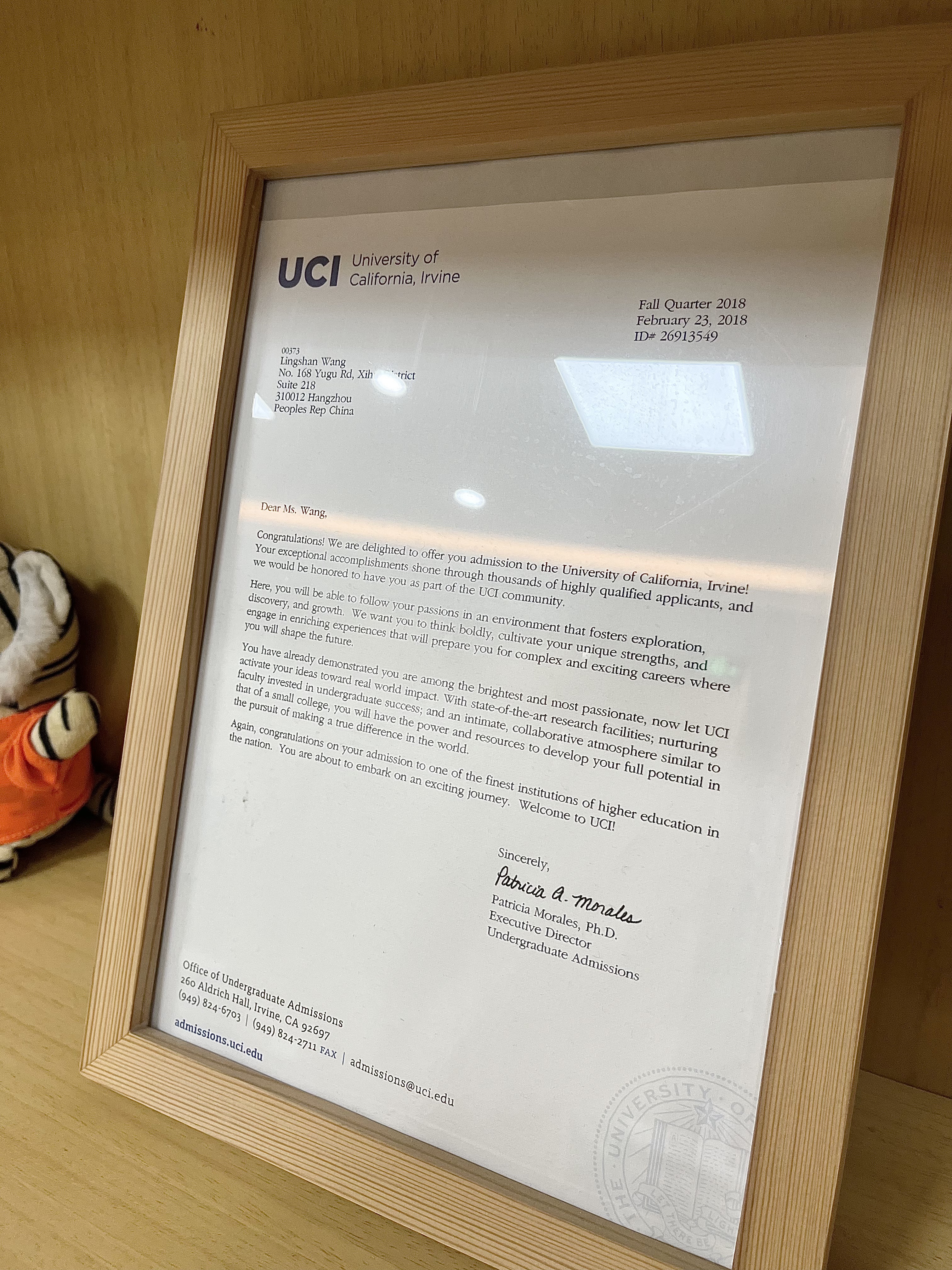 辨析留学咨询公司排名，靠谱的高性价比专业公司哪家靠谱