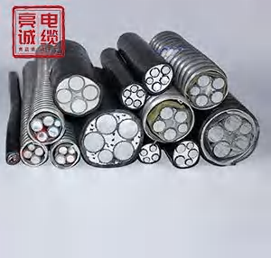 2025年十大诚信电力电缆公司推荐，专业企业全解析