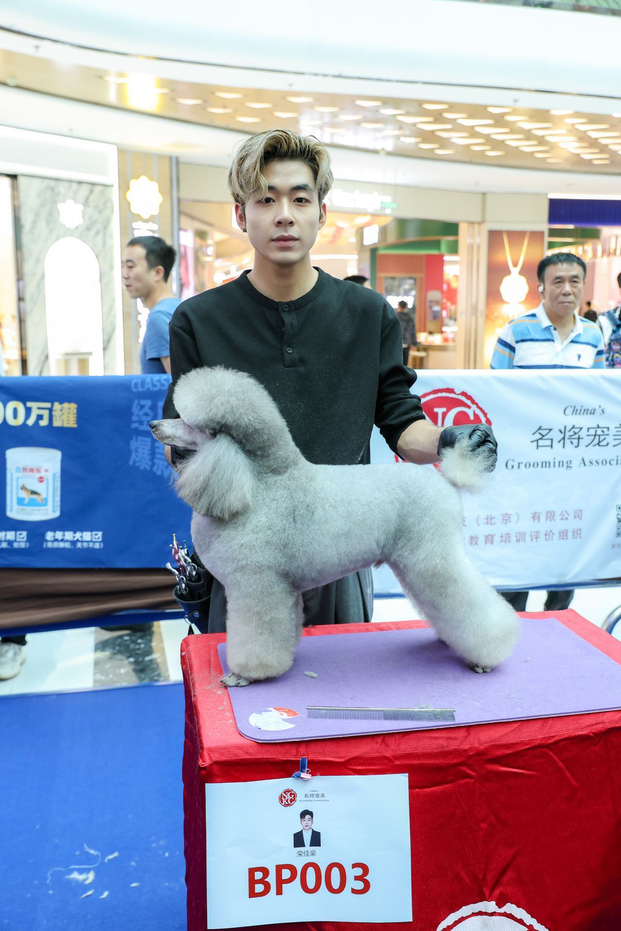 总结宠物剪毛培训推荐，多人组与无证书培训费用多少钱