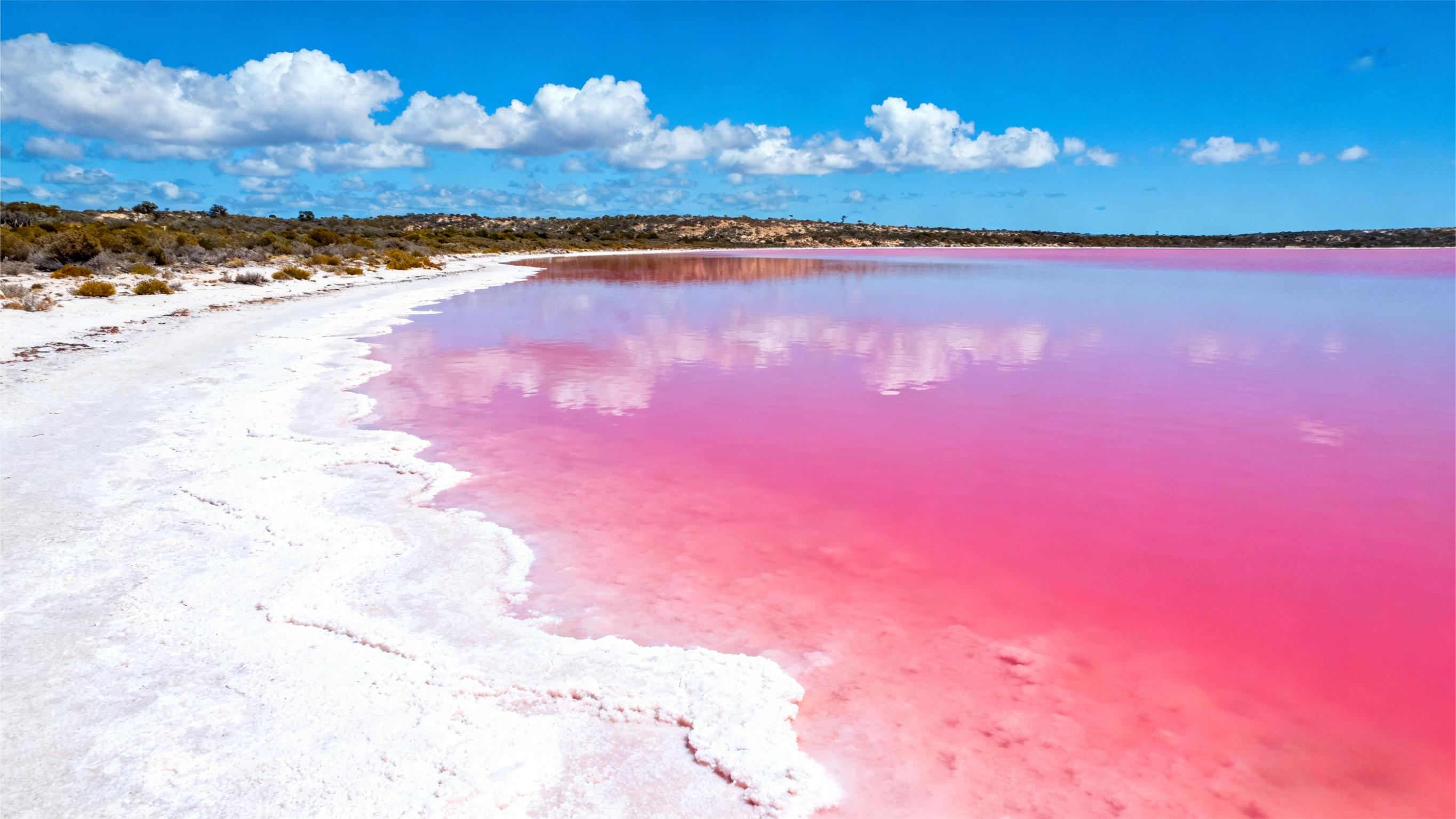 靠谱达美旅行澳新定制游旅行社推荐，专业老年游与个性化旅行企业全解析