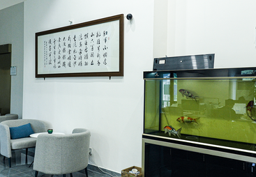 重庆建筑总包资质办理流程咨询公司哪家经验足，材料通过率高