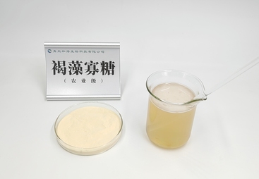 总结求推荐化妆品级褐藻寡糖供应商哪家性价比高