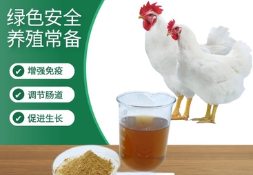 2026年排名前五的饲料级壳寡糖原料厂家有哪些