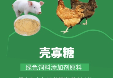 2026年口碑好的饲料级壳寡糖生产厂家专业公司推荐