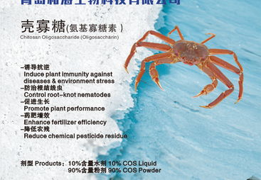 靠谱的壳寡糖系列标准品供应商价格揭秘，到底多少钱？