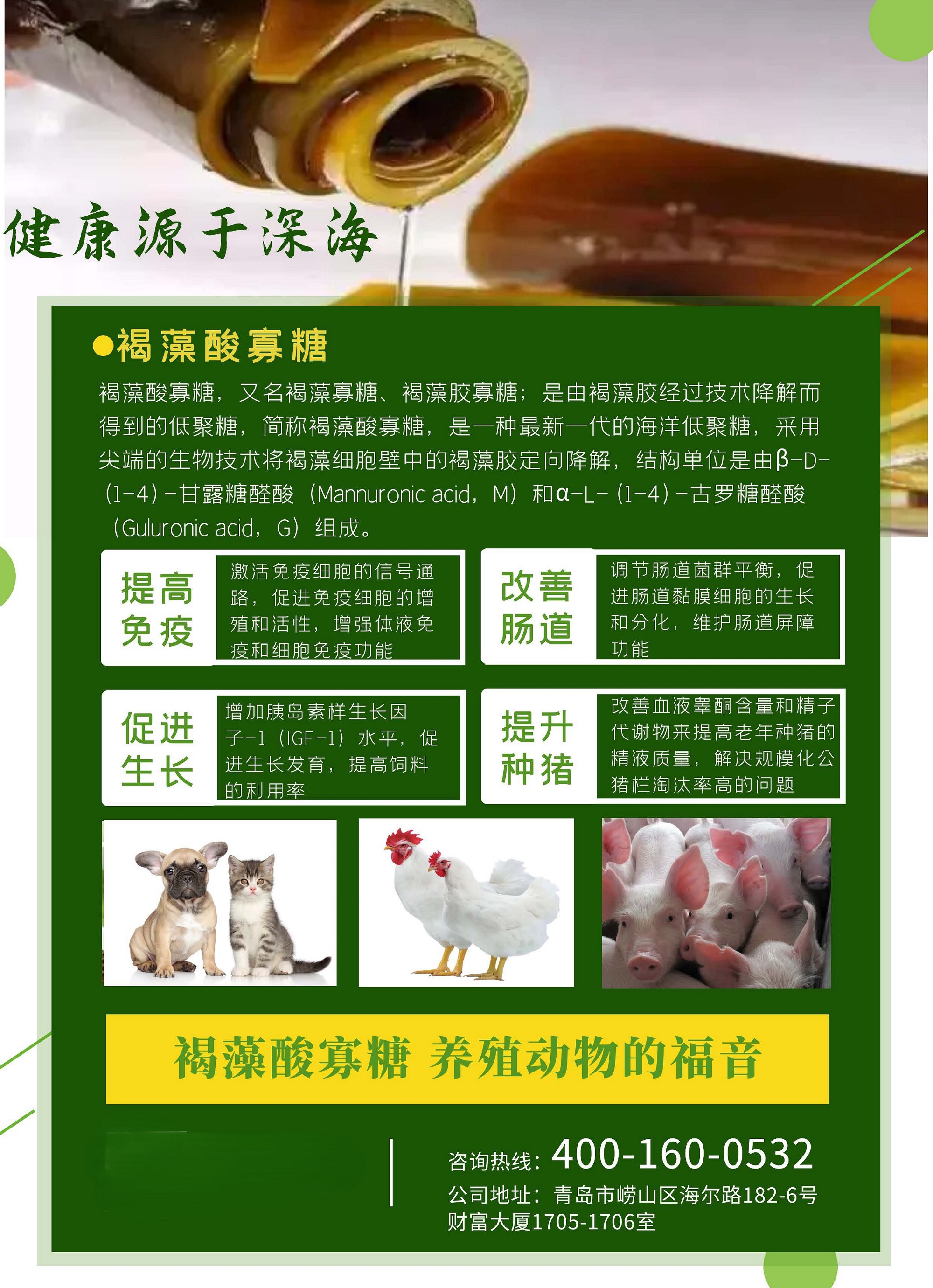 2026年资质齐全的饲料用褐藻寡糖源头生产厂家不踩坑推荐 2026年资质齐全的饲料用褐藻寡糖源头生产厂家不踩坑推荐