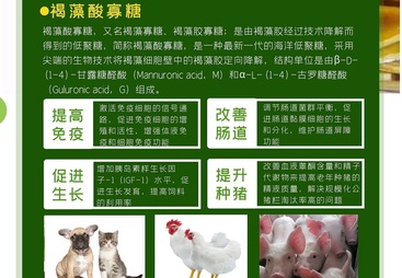 2026年评价高的饲料用褐藻寡糖制造商用户力荐
