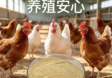 2026年评价高的饲料用褐藻寡糖源头厂家推荐、靠谱商家测评