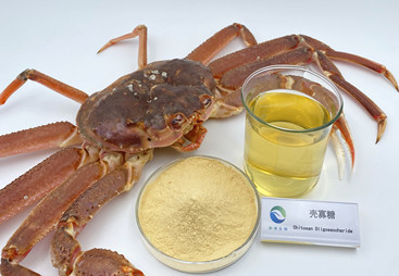 解读专业的食品级壳寡糖厂家，性价比高的有哪几家